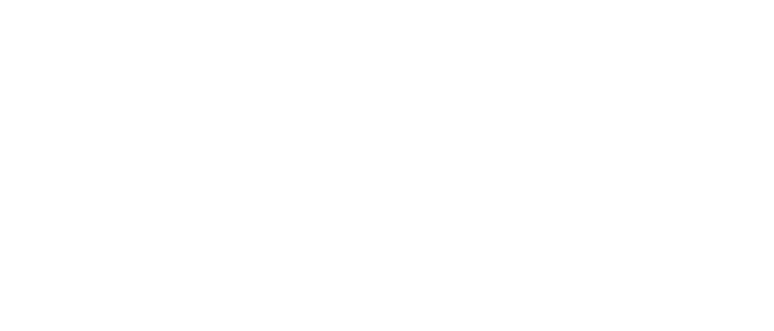 White Logo White Paterakis Visuals